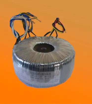 Toroidal Power Transformer - Standard Center Potting